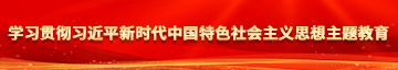 女生的逼被操视频学习贯彻习近平新时代中国特色社会主义思想主题教育